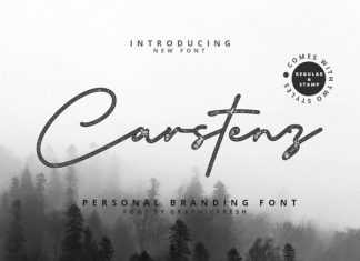 Carstenz Vintage Script Font