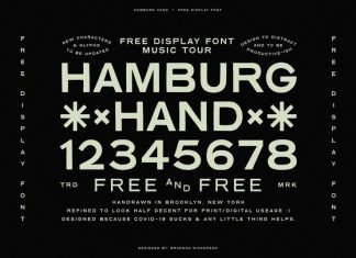 Hamburg Hand Display Font
