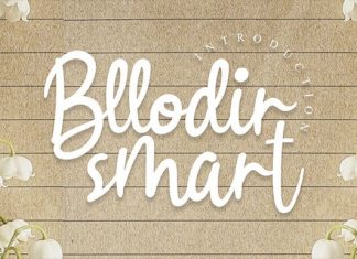 Bllodir Smart Script Font