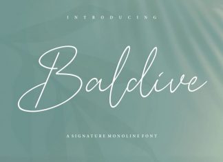 Baldive Signature Monoline Font