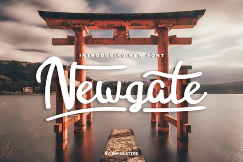 Newgate Script Font