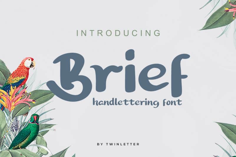 Brief Script Font