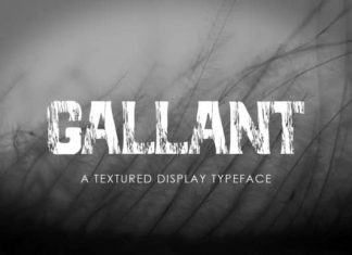 Gallant Display Font