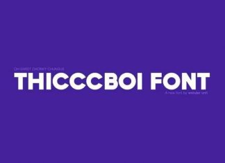 Thicccboi Sans Font Family