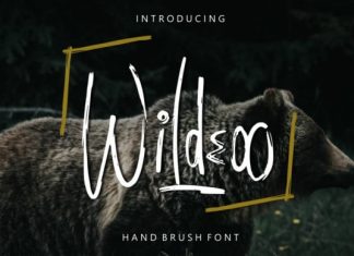Wildeoo Brush Font