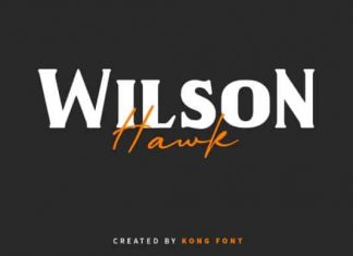 Wilson Hawk Serif Font