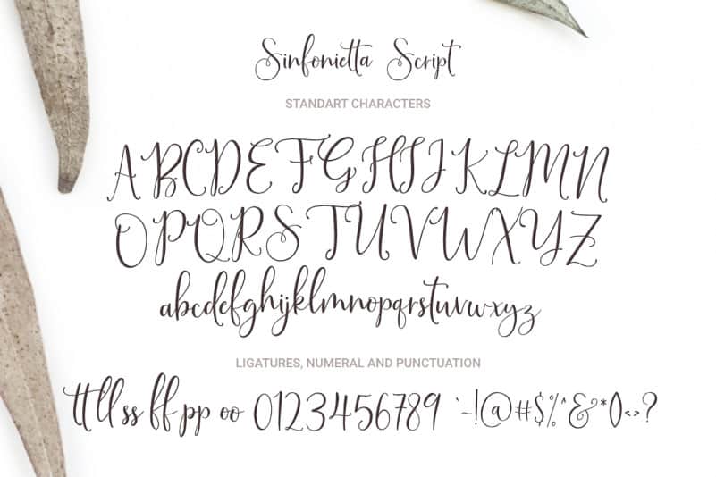 Cool Script Fonts  8 Modern Script Fonts