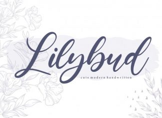 Lilybud Modern Handwritten Font