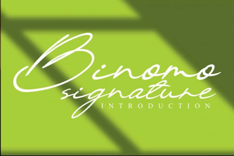 Binomo Handwritten Font