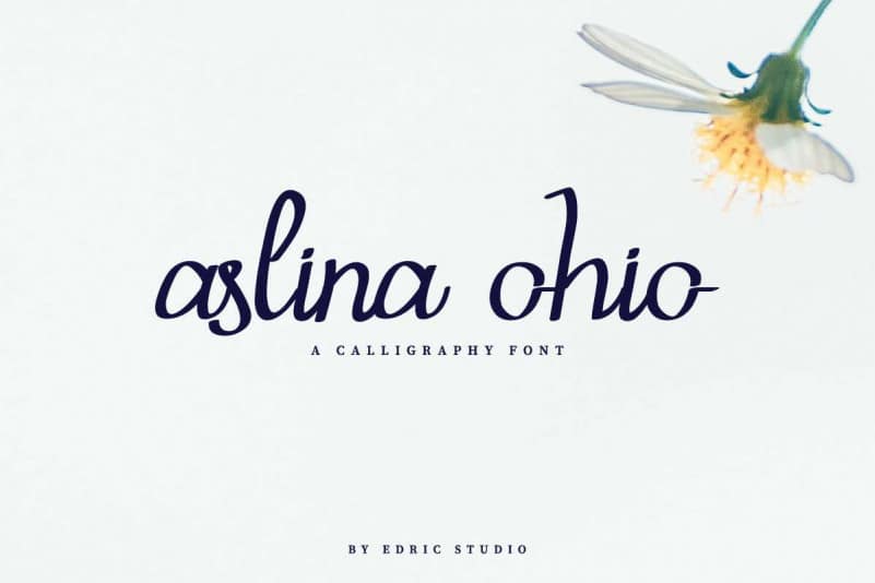 Aslina Ohio Calligraphy Font