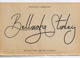 Bellaigho Stanley Script Font