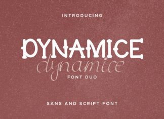 Dynamice Font Duo