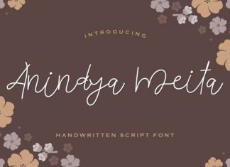 Anindya Meita Handwritten Font