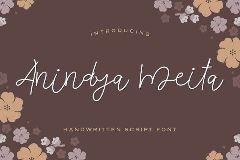 Anindya Meita Handwritten Font