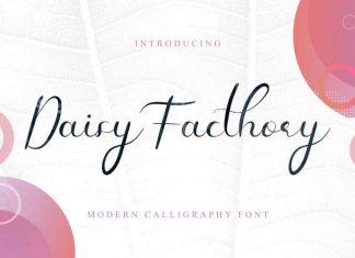Daisy Facthory Calligraphy Font