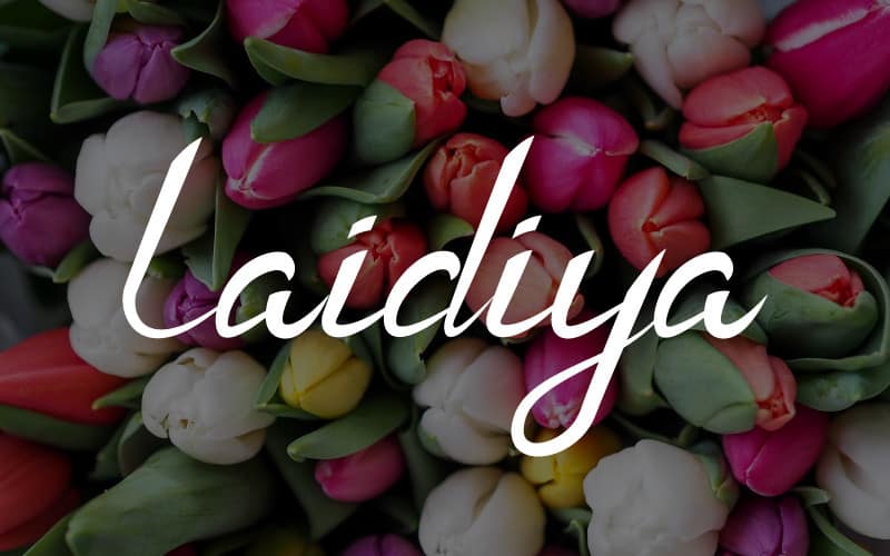 Laidiya Handwritten Font
