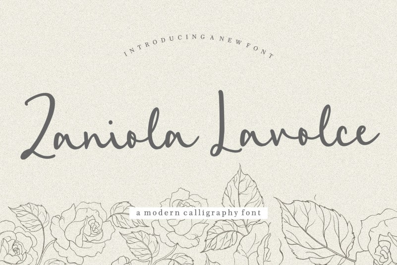 Zaniola Lavolce Modern Callihgraphy Font