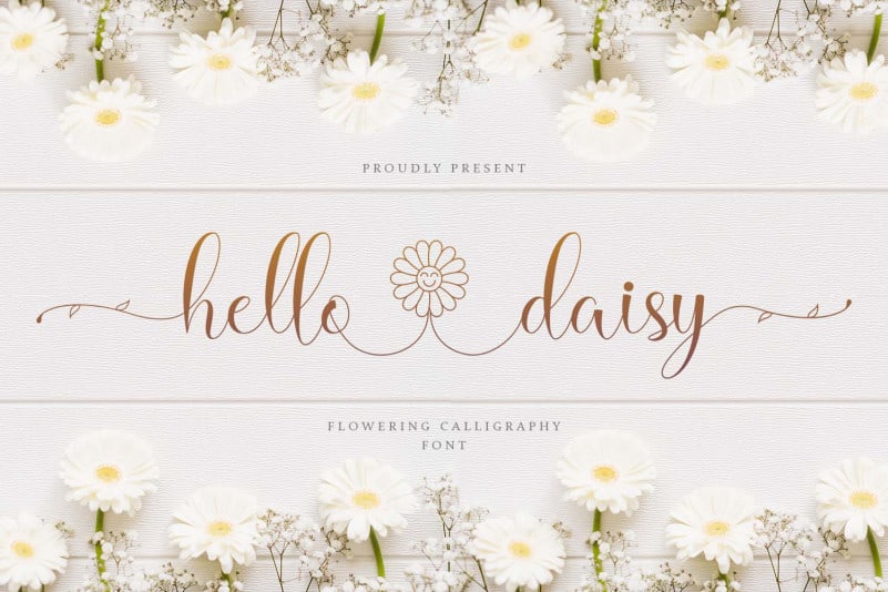 Hello Daisy Calligraphy Script