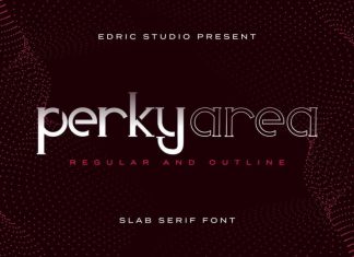 Perky Area Slab Serif Font
