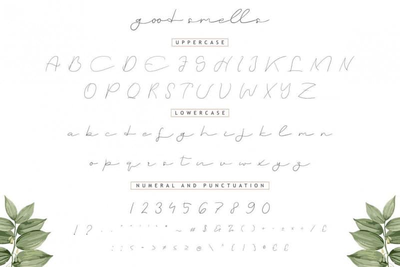 Good Smells Signature Font - Download Free Font