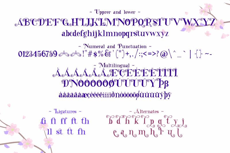 Secret Admirer Serif Font Befonts Com