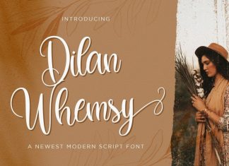 Dilan Whemsy Calligraphy Font