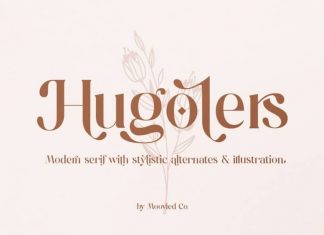 Hugolers Stylish Serif Font
