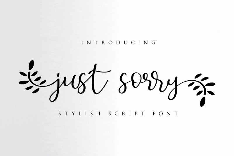 Just Sorry Calligraphy Font