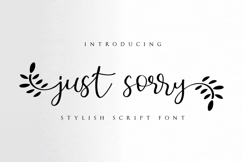 Just Sorry Calligraphy Font Befonts Com