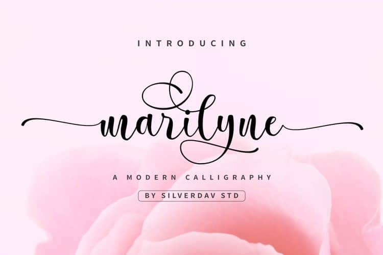 Marilyne Calligraphy Font - Download Free Font