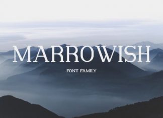Marrowish Slab Serif Font