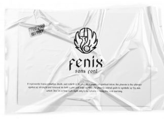 Fenix Sans Font