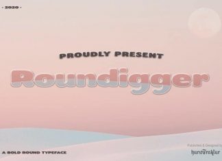 Roundigger Sans Serif Font