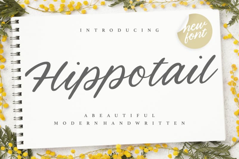 Hippotail Handwritten Font