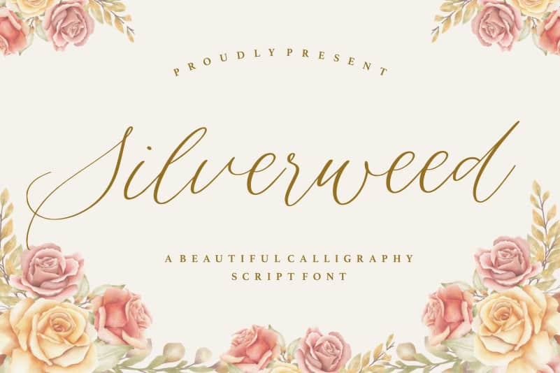 Silverweed Calligraphy Script Font