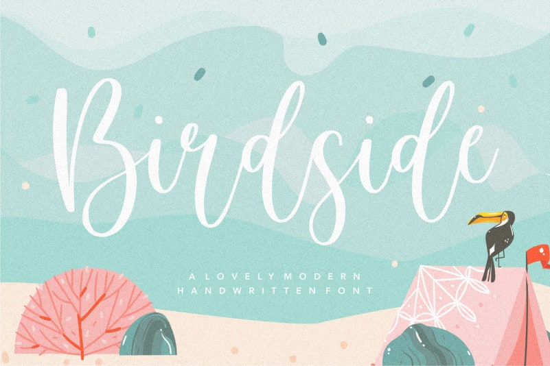 Birdside Lovely Modern Handwritten Font