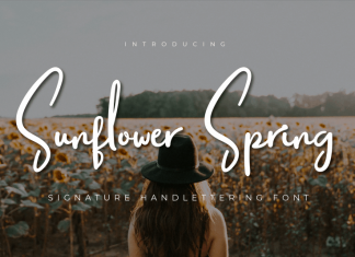 Sunflower Spring Script Font