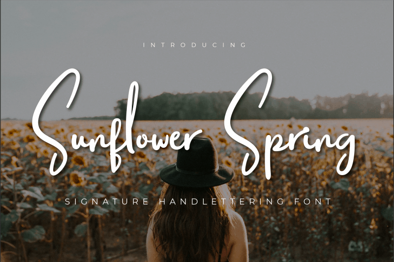 Sunflower Spring Script Font
