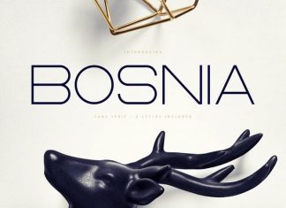 Bosnia Sans Serif Font