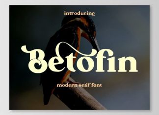 Betofin Serif Font