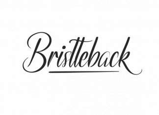 Bristteback Calligraphy Font