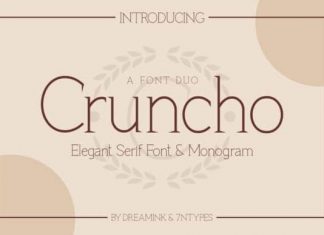Cruncho Serif Font