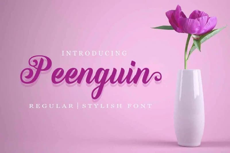 Peenguin Script Font