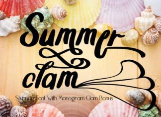 Summer Clam Calligraphy Font