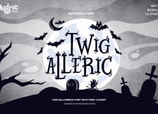 Twig Alleric Display Font