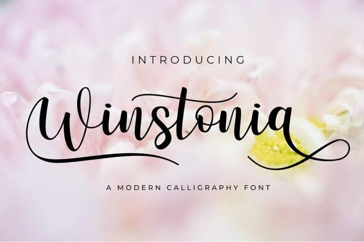 Winstonia Calligraphy Font