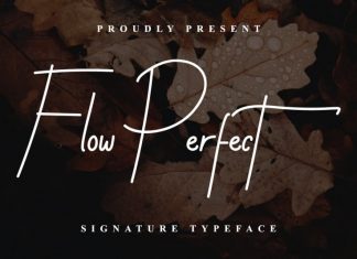 Flow Perfect Signature Font