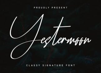 Yestermoon Signature Script Font