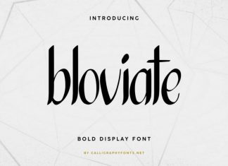 Bloviate Simple Display Font