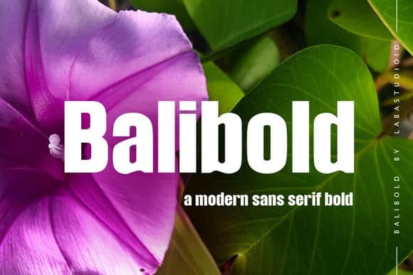 Balibold Sans Serif Font